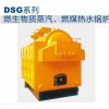DZ系列蒸汽、热水