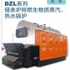 DZ系列蒸汽、热水