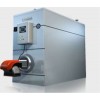 TFZ真空热水锅炉